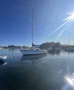 Montego 19 Sailboat + Trailer