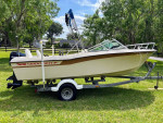 19' Grady White