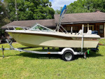 19' Grady White