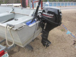 1995 14 Foot Sea Nymph new 9.9 Elc start
