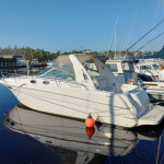 1999 - 290  Sea Ray Sundancer