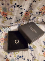 Surgical steel nose ring