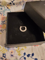 Surgical steel nose ring