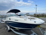 2010 Sea Ray 260 Sundeck