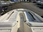 2010 Sea Ray 260 Sundeck
