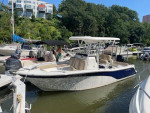2017 Sea Fox 249 Avenger