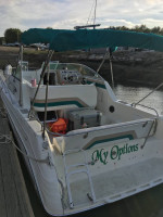 1995 Rinker Fiesta Vee 265