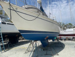 1984 Pearson 36-2