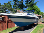 Regal Valanti 260