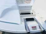 2001 Chris Craft  262 Sport Deck