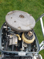 9.9 HP with 15 Carburetor Evinrude Long Shaft Electric Start Tiller
