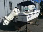 20' Boston Whaler Ventura
