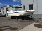 20' Boston Whaler Ventura