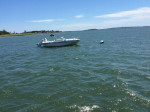 20' Boston Whaler Ventura