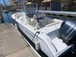 Sea hunt triton 24’ -250hp