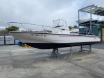 2002 22 Dauntless Boston Whaler