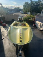 Hydrostream Vandal