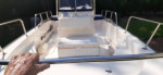 2010 Boston Whaler 17 ft Montauk