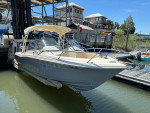 2017 Scout Dorado 245