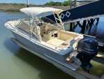 2017 Scout Dorado 245