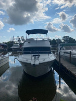 Carver 300