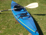 kayak for sale