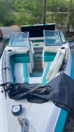 Interceptor 23' Caravelle Boat v8 Ford