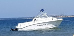 2008 Trophy Pro 1952 WA.  Excellent Condition.