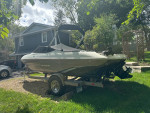 2014 Stingray 198LF Fish & Ski