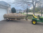 14ft Alumacraft