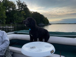Pontoon, 25 hp, Trailer, boat lift