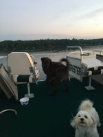 Pontoon, 25 hp, Trailer, boat lift