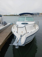 21' Sea Swirl