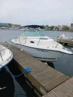 21' Sea Swirl