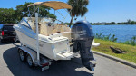 2019 Scout Dorado 210
