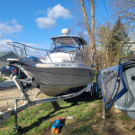 93 proline 24ft boat