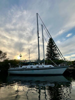 37' Cherubini Hunter H37C