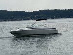 1999 Cobalt 252 BR