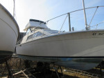 Trojan 26' Best Offer over $1.00
