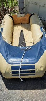 Zodiac zed 31