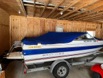 Bayliner Classic