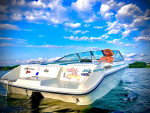 1989 Sea Ray 160