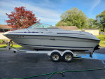 1996 SeaRay 215 Express Cruiser