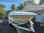1996 SeaRay 215 Express Cruiser
