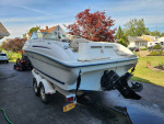 1996 SeaRay 215 Express Cruiser