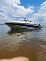 1988 Wellcraft Elite 220 XL