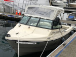 1987 Arima SeaHunter