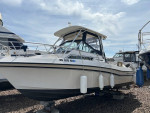1991 Grady Gulf stream