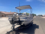 2010 Landau Pontoon 19'