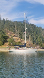 Morgan 382